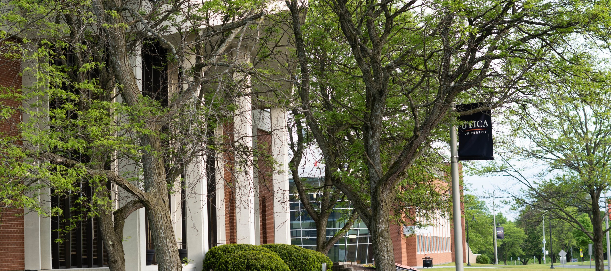 Two trees, full of green leaves, and a Utica Univesity banner stand in front of the Gannett Library on a warm day with the Science Center in the background.