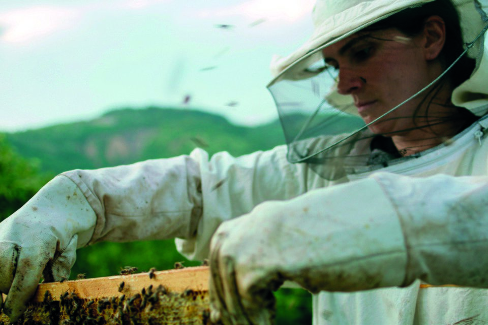 Film: Hive