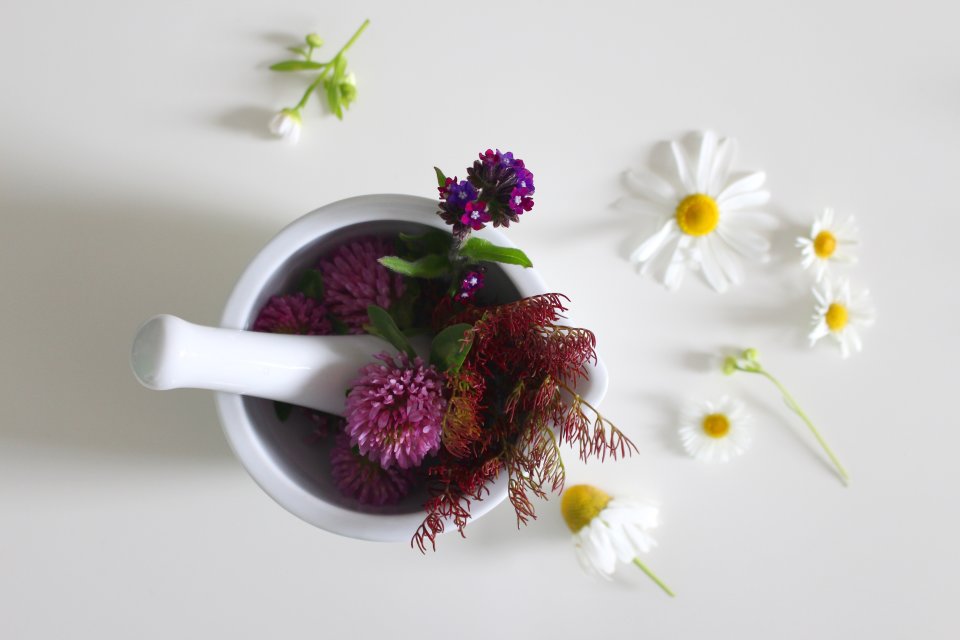 Mortar and Pestle with medicinal flowers.