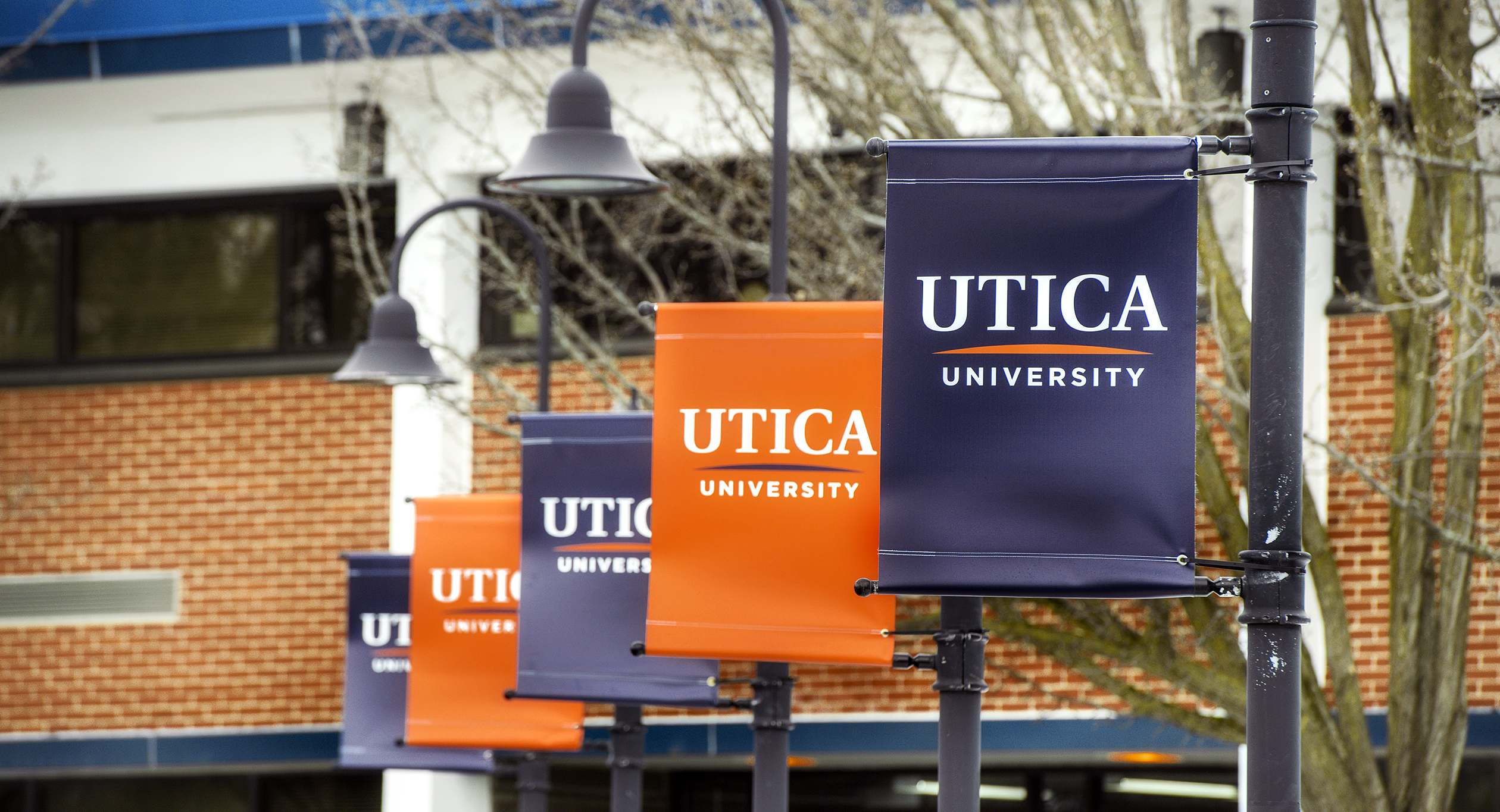 Utica University Web Content Tools